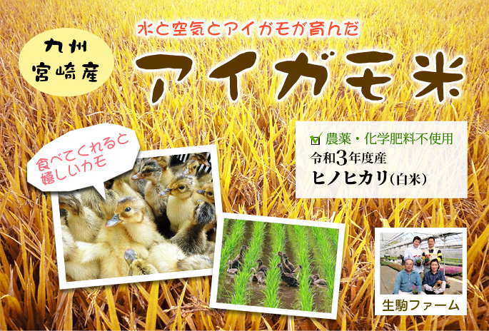 農薬不使用 九州 宮崎産 合鴨（アイガモ）米・玄米 生駒ファーム