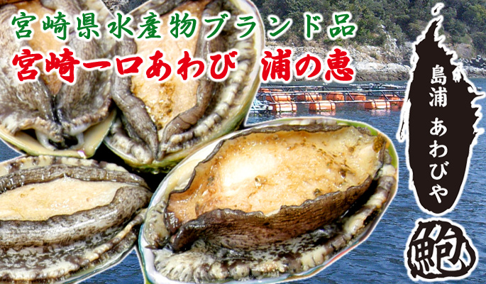 宮崎県水産物ブランド品 宮崎一口あわび 浦の恵