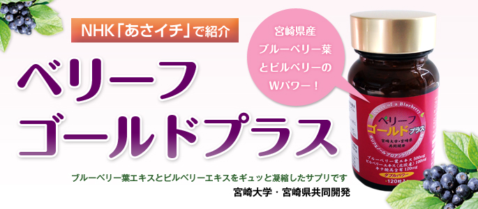 新発売!ベリーフゴールドプラス300セット限定販売キャンペーン