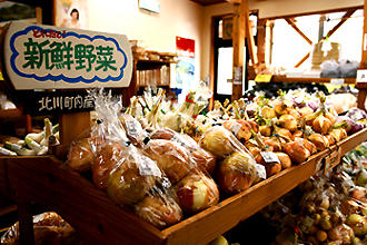 地どれの新鮮野菜・花木類の人気です