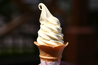 人気急上昇！さっぱり味の日向夏ソフトクリーム