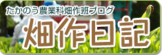 たかのう農業科畑作班ブログ　畑作日記