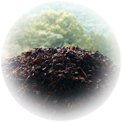 紅茶の葉