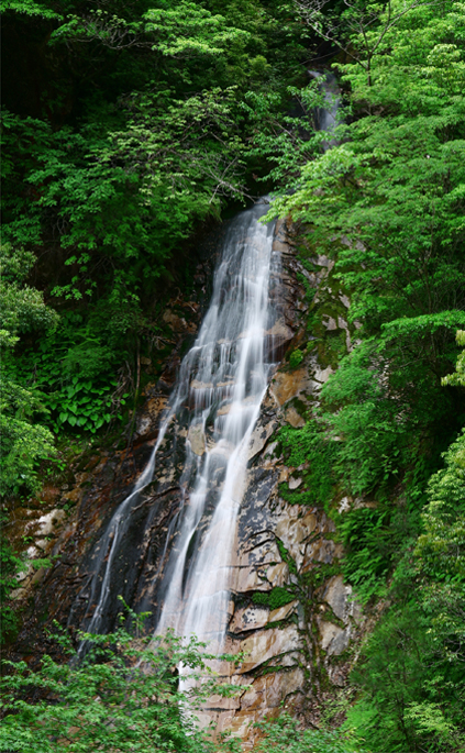 香花谷観音滝