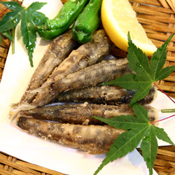 めひかりのから揚げ