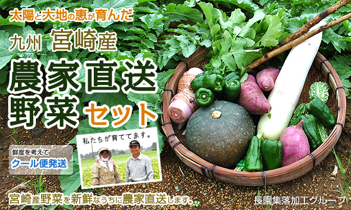 九州 宮崎産 農家直送野菜セット　太陽と大地の恵が育んだ宮崎産野菜を新鮮なうちに農家直送します。