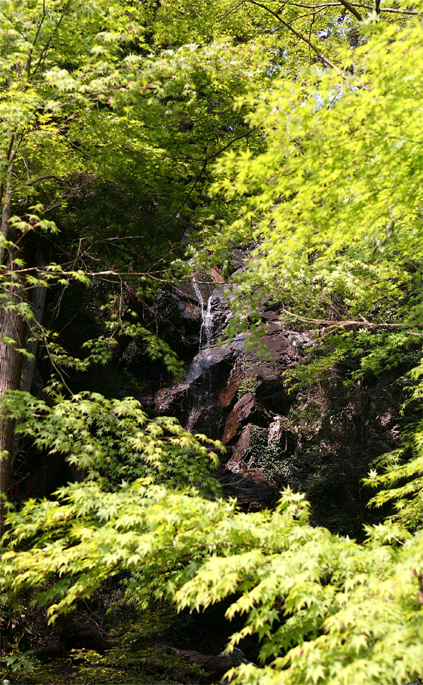 那智山如意輪寺・那智ノ滝