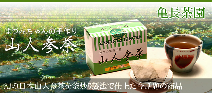 はつみちゃんの手作り 山人参茶 幻の日本山人参茶を釜炒り製法で仕上た今話題の健康茶 はつみちゃんの手作り 山人参茶 幻の日本山人参茶を釜炒り製法で仕上た今話題の健康茶