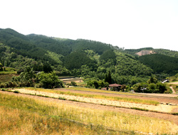 北方町美々地