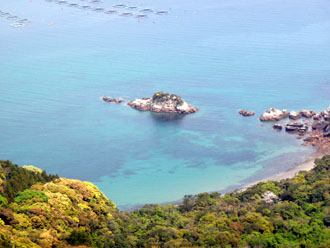 島浦のサンゴ礁