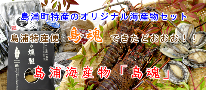 島浦町特産のオリジナル海産物セット「島魂」