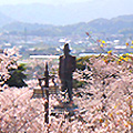 延岡城跡・城山公園