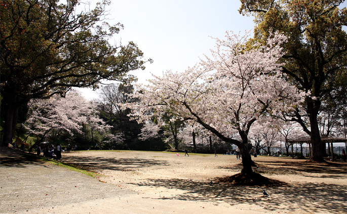 延岡城跡・城山公園