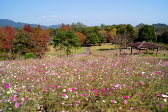 秋の植物園 全景