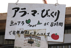 アラ・マ・びっくり!