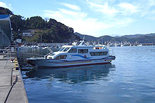 島野浦港