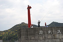 島野浦島で釣りを楽しむ人たち