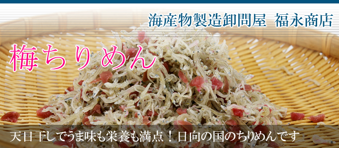 天日干しでうま味も栄養も満点!日向の国のちりめんです 梅ちりめん 福永商店
