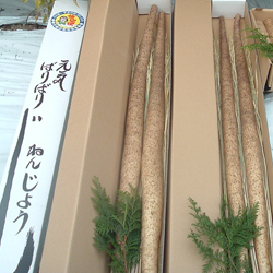 じねんじょ 100g