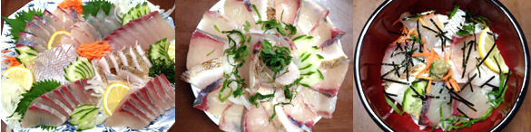 金寿カンパチ、島浦マダイ、島浦シマアジの刺身や海鮮丼
