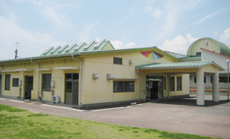 yuyu-fish01.jpg