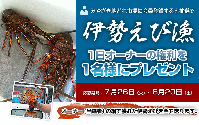 みやざき地どれ市場に会員登録すると抽選で、伊勢えび漁　1日オーナーの権利を1名様にプレゼント