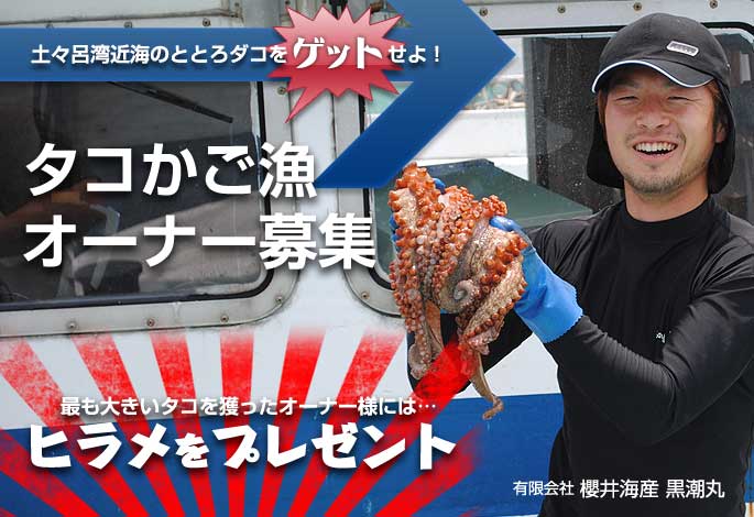 タコかご漁オーナー募集 最も大きいタコを獲ったオーナー様には、ヒラメをプレゼント