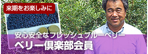 ブルーベリー畑のオーナー