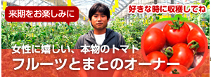 フルーツトマトのオーナー
