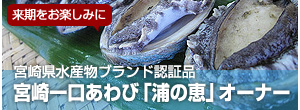 宮崎一口あわび「浦の恵」オーナー