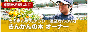 きんかんの木 オーナー