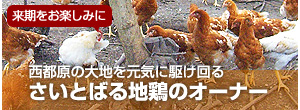 さいとばる地鶏のオーナー